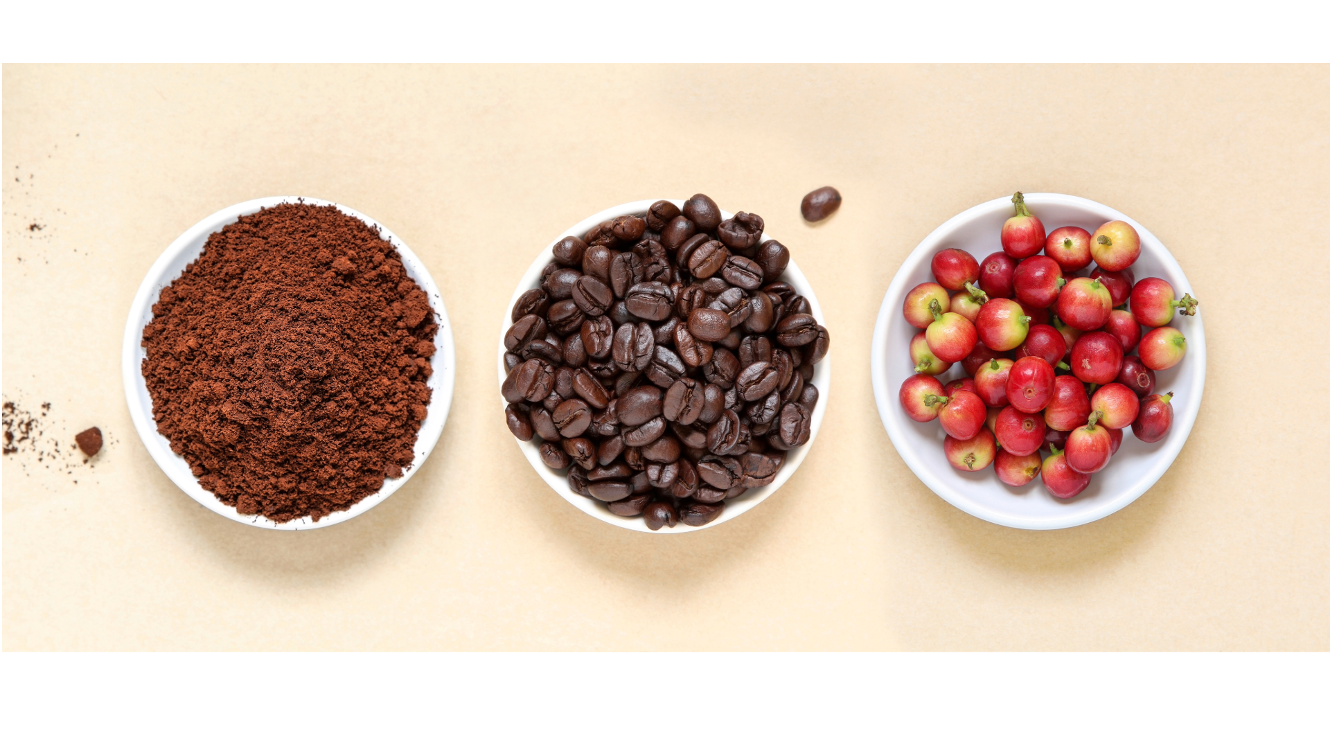 Is Organic Coffee Actually Worth It? Here's What We Think.